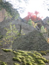 IMG_0068b.jpg